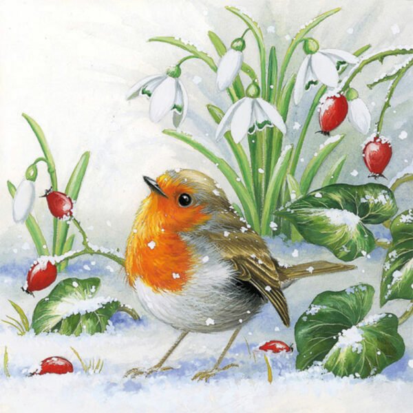 Luxury Paper Pack of 20 Napkins Christmas Robin 33x33cm by Ambiente-0