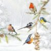 Luxury Paper Pack of 20 Napkins Christmas Festive Birds All Together 33x33cm by Ambiente-0